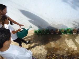 Projeto Meio Ambiente 