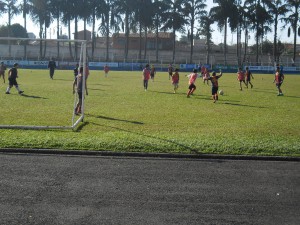 sim (4)